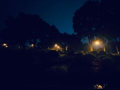 -东莞植物园