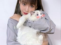-lincat·猫舍(广州店)