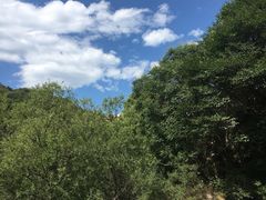 -碓臼峪自然风景区