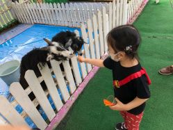 -萌宠亲子动物乐园(槐房万达店)