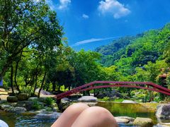 -广东天露山旅游度假区
