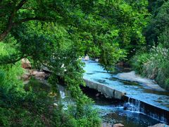 -北仑森林植物园