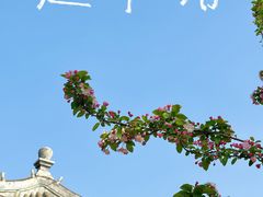 -海棠花溪(元大都城垣遗址公园)