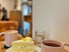 高山红茶-猫里有甜