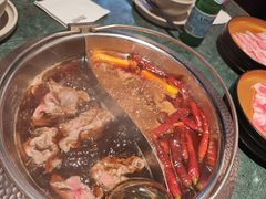 -牛New寿喜烧(金鹰世界店)