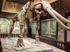 -白帝城·瞿塘峡景区