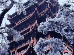 -海合安武汉极地海洋公园