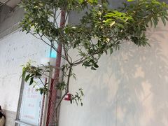 -喜茶(珠海华发商都店)