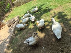 -HERRE·FARM 赫尔露营农场·团建聚会包场