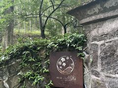 -莫干山风景区