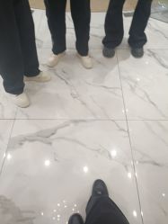 -YESIDO椰岛造型