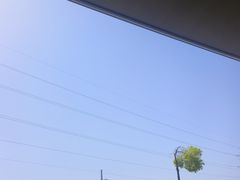 -再回头私房菜·老南京菜