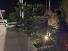 -大队长大灶鹅