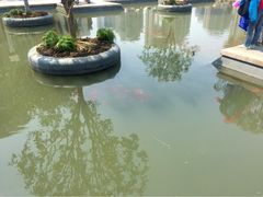 iphone_upload_pic-白塘生态植物园