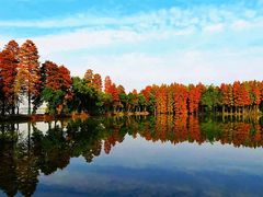 -东湖磨山景区