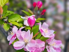 -西山漾湿地公园