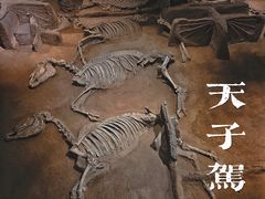 -洛阳周王城天子驾六博物馆