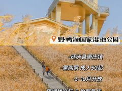 -沉浸北京·团建旅行·密室剧本杀·年会会议轰趴拓展