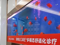 -牙博士口腔品牌连锁(杨浦店)