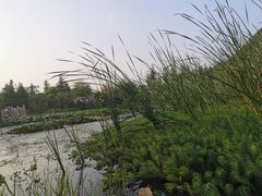 -贵阳市花溪国家城市湿地公园