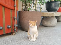 -龙华寺
