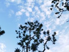 -成飞公园