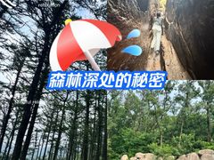 -鲁山国家森林公园