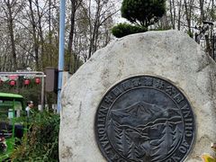 -合肥滨湖国家森林公园