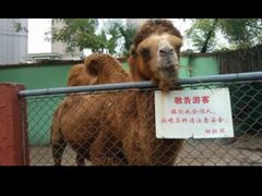 -荆州中山公园动物园