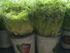 -Olé精品超市(南宁万象城店)