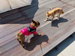 -一尺花园(安和花园店)