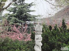 -西安青龙寺遗址景区