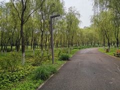 -东郊湿地公园