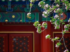 -故宫博物院(故宫)