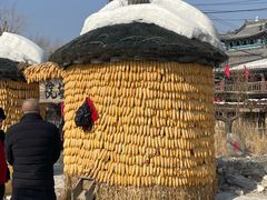 -葫芦古镇关东民俗雪乡