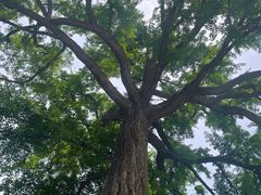 -天津盘山风景名胜区