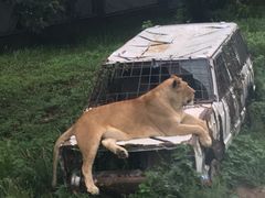 -西安秦岭野生动物园