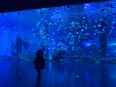 -波塞冬海底世界