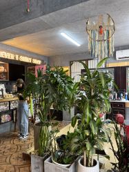 -野鸽脏辫·美式编发专项店