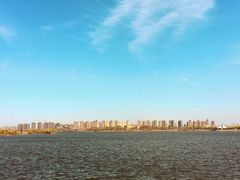 -丁香湖公园