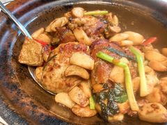 -粤凤佬