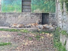 -西安秦岭野生动物园