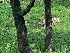 -哈尔滨北方森林动物园