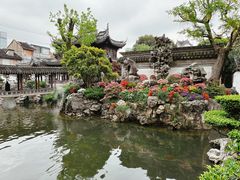-豫园