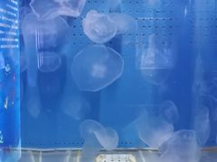 -厦门海底世界