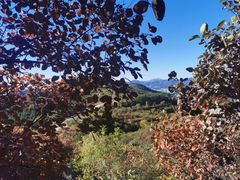 -北京西山国家森林公园