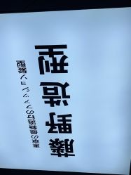 -藤野造型专业烫染接发