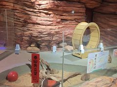 -正佳雨林生态植物园