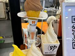 -野人先生Gelato(上海长宁龙之梦店)
