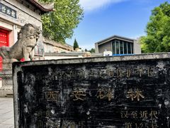 -西安碑林博物馆
